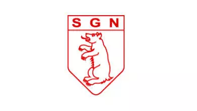 SG Nellingen